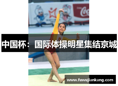 中国杯：国际体操明星集结京城